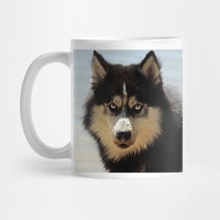 Husky Mug